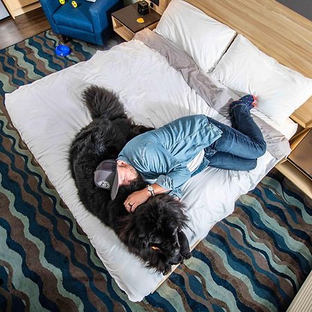 Accent Inns Камлупс Екстериор снимка